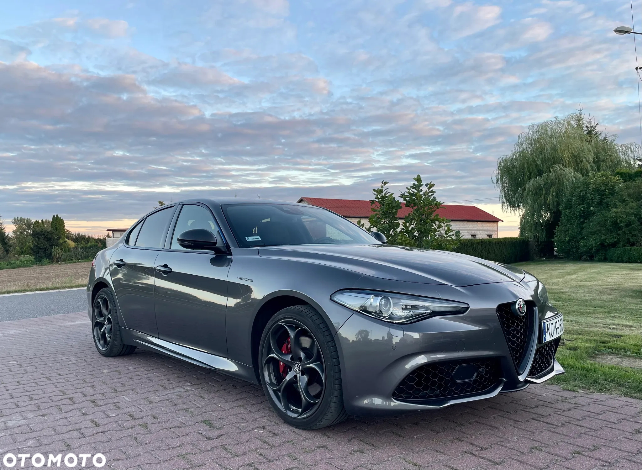 Alfa Romeo Giulia 2.0 Turbo Veloce TI Q4 - 6