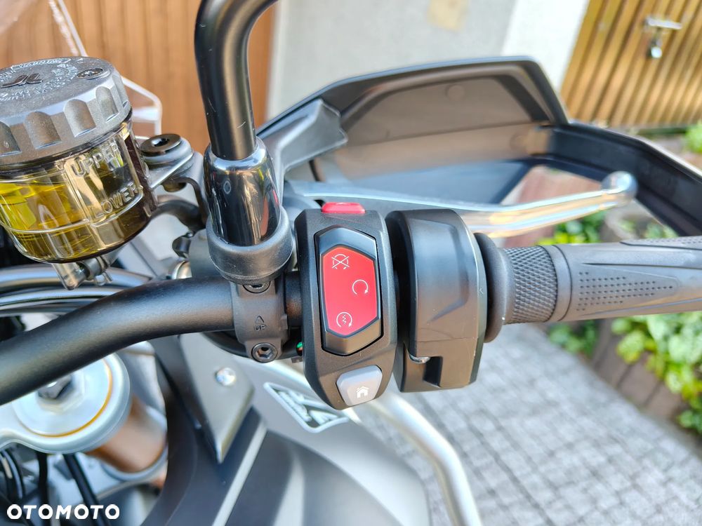 Triumph Tiger - 8