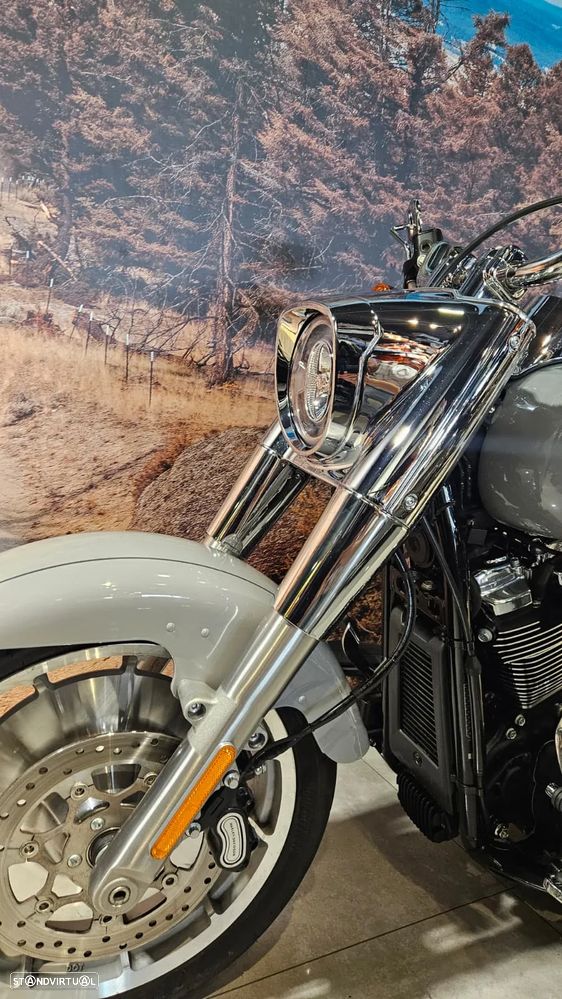 Harley-Davidson Fat Boy 114 - 8