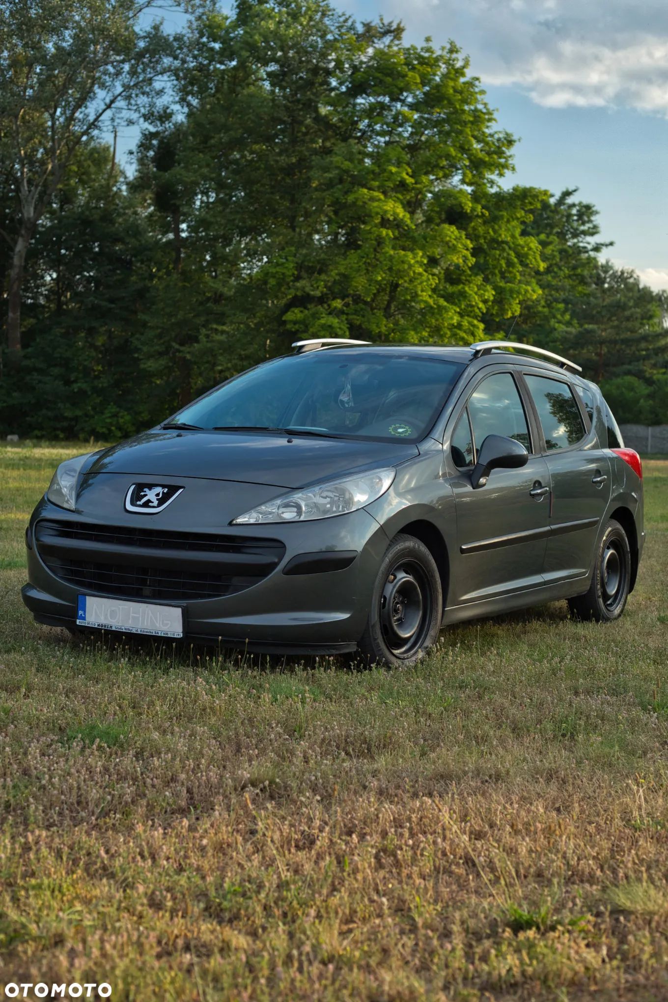 Peugeot 207 - 1