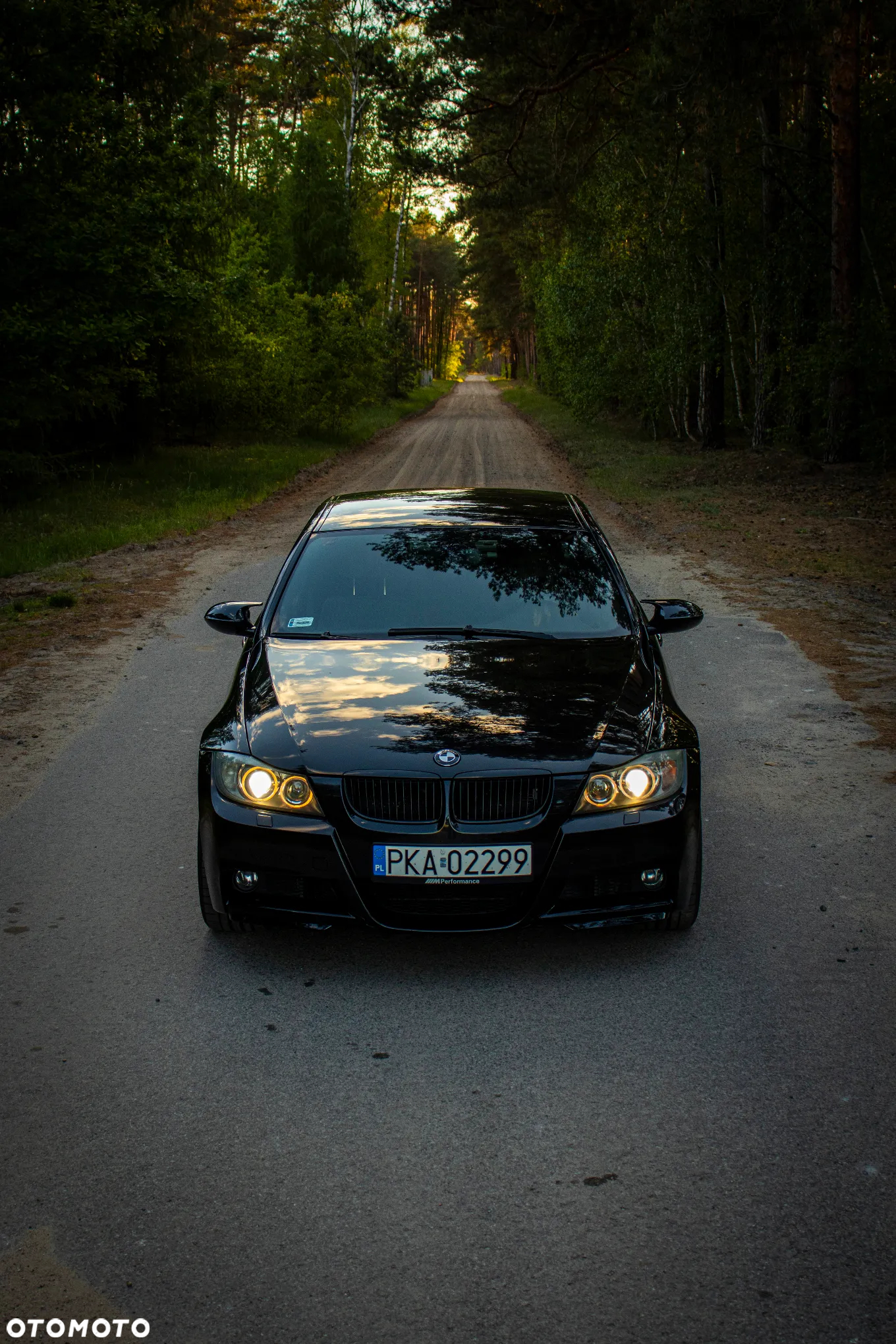 BMW Seria 3 318i - 40