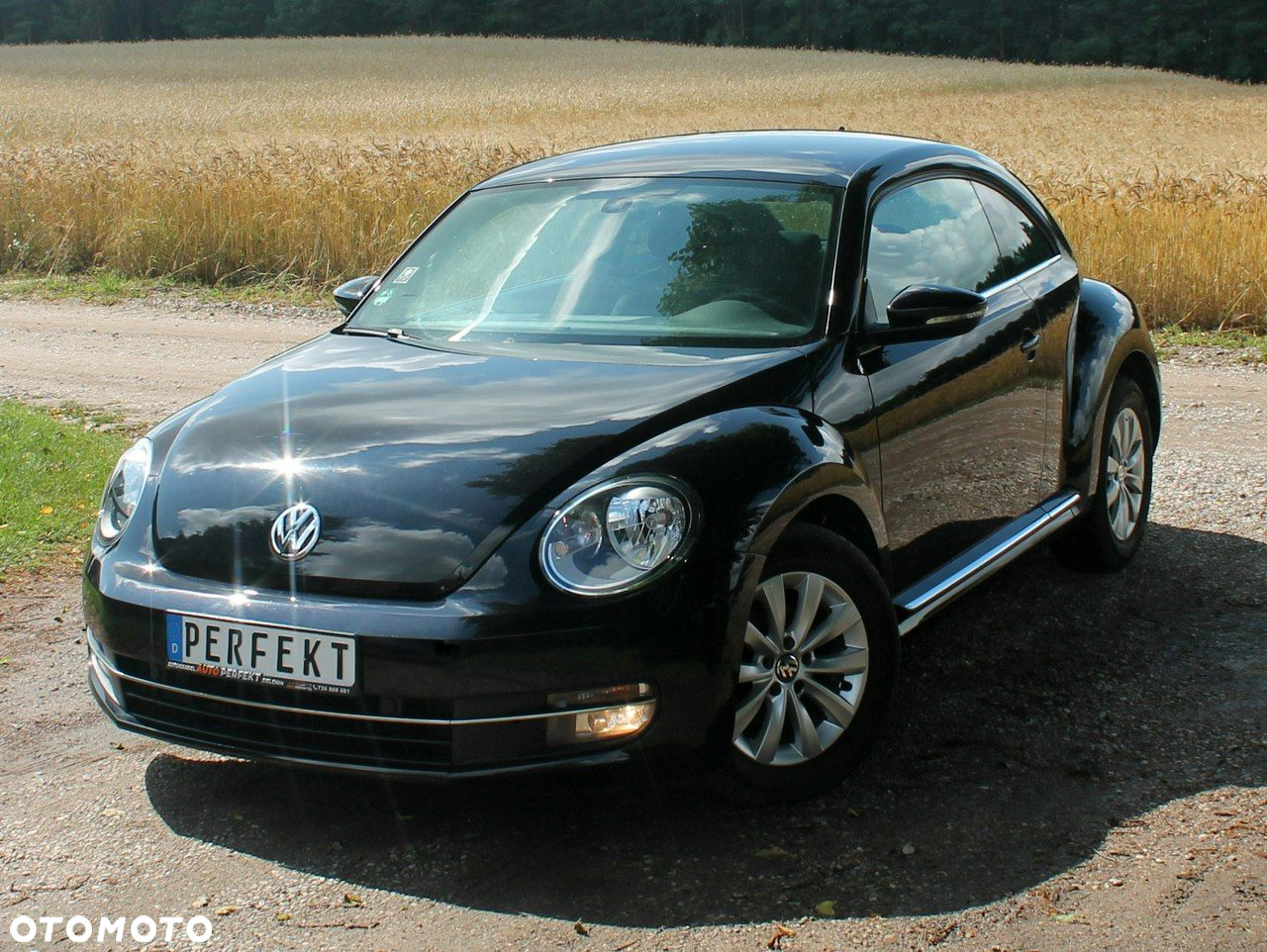 Volkswagen Beetle - 3