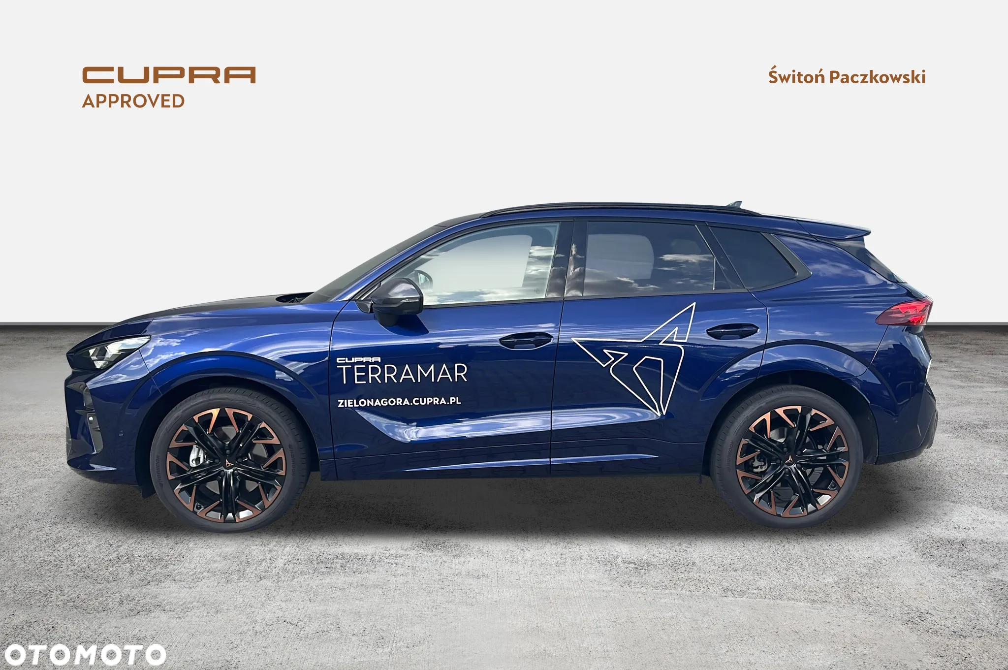 Cupra Terramar 2.0 TSI 4Drive Advantage Edition DCC DSG - 2