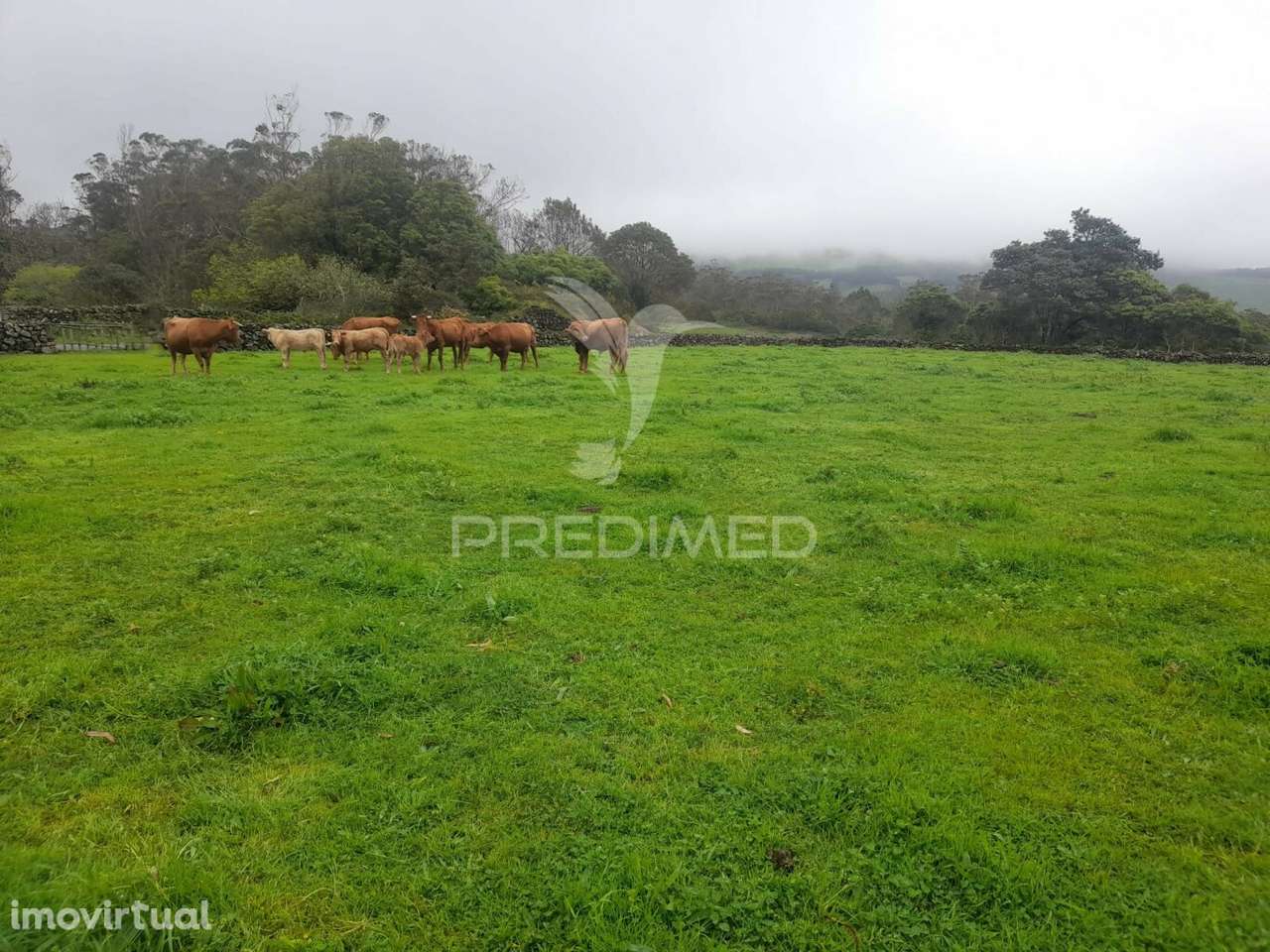 Terreno - São Bartolomeu - Grande imagem: 2/15