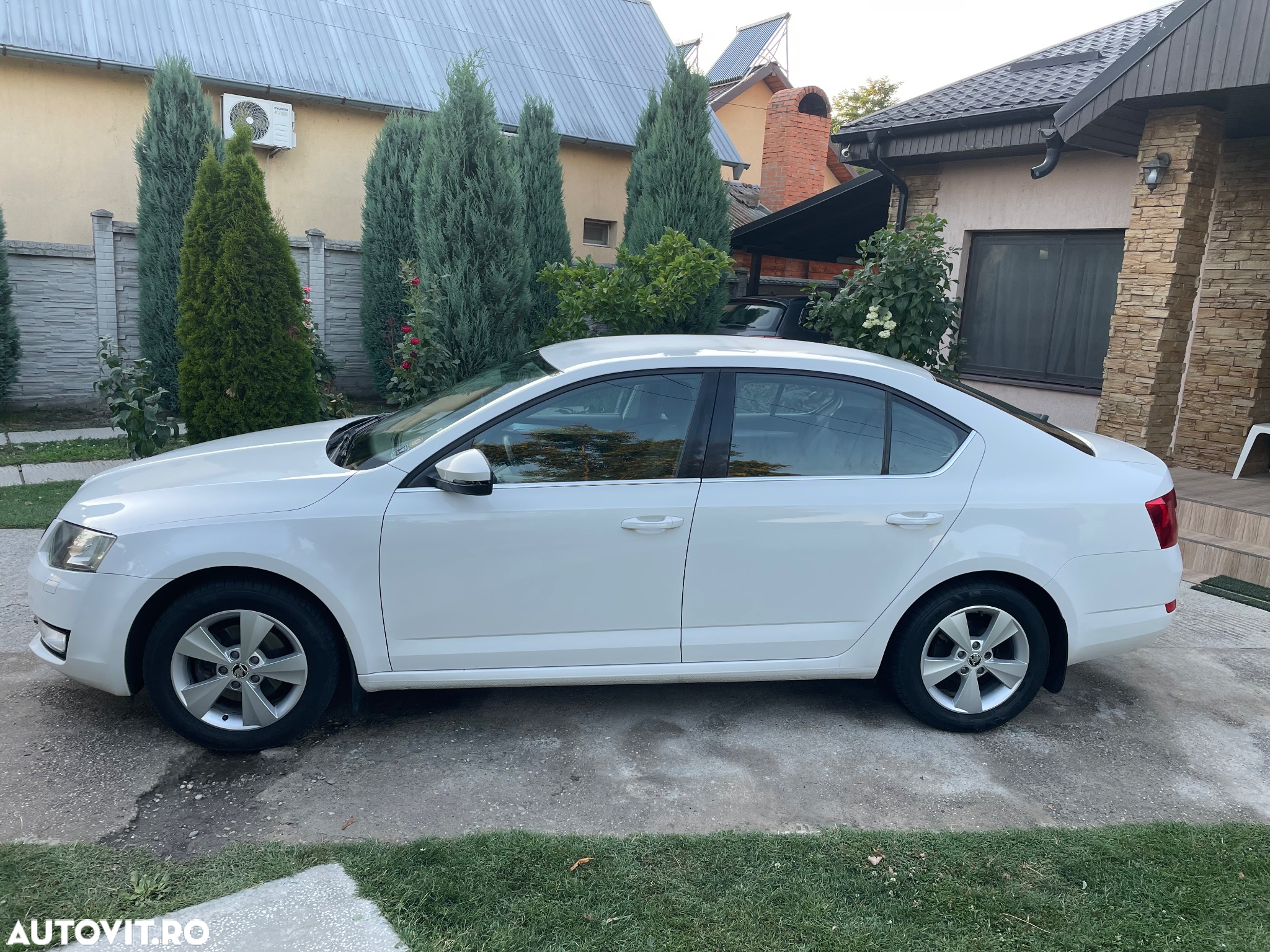 Skoda Octavia - 3