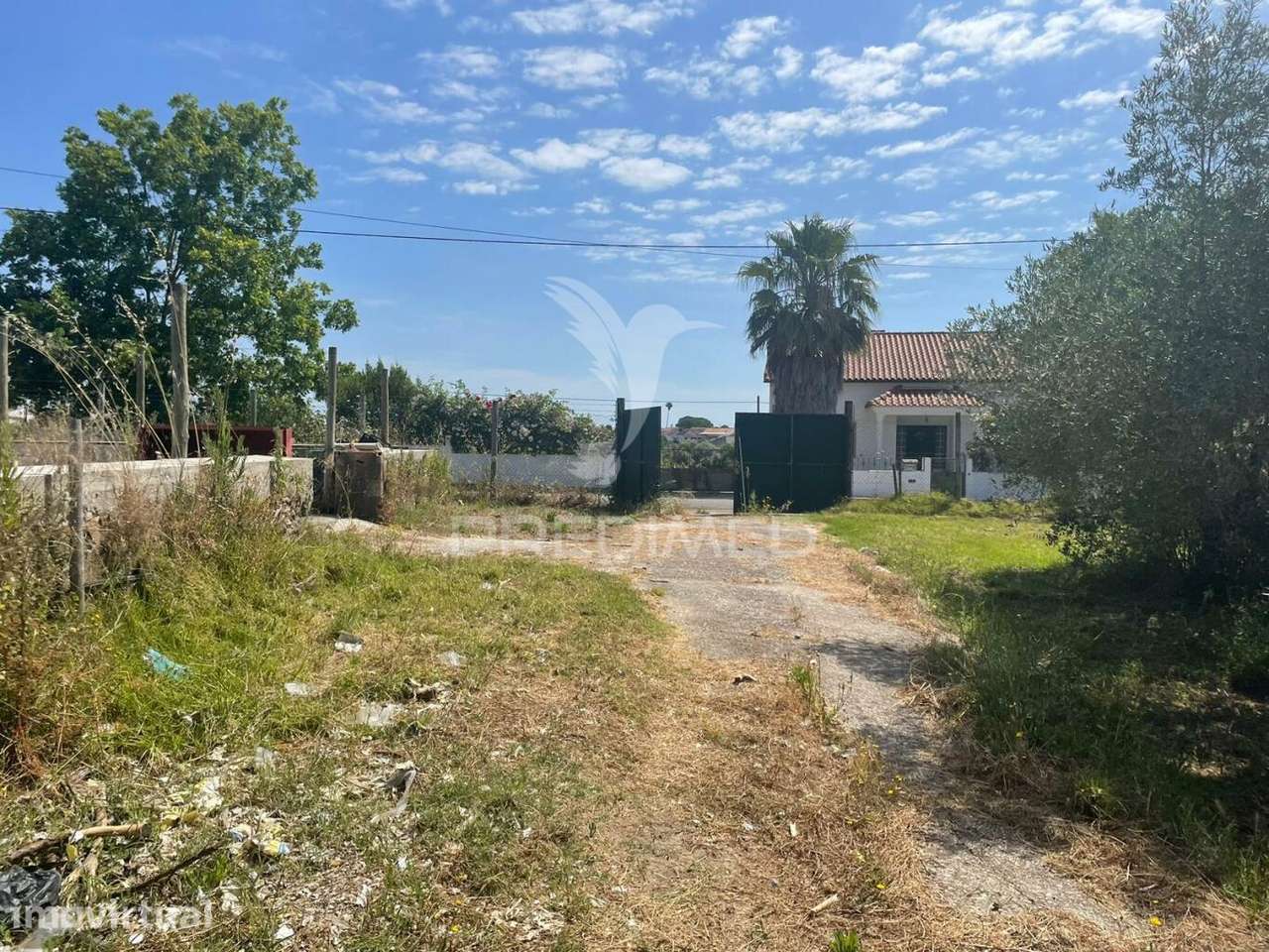 Terreno no Concelho da Azambuja , Manique do Intendente , Moita do... - Grande imagem: 5/10