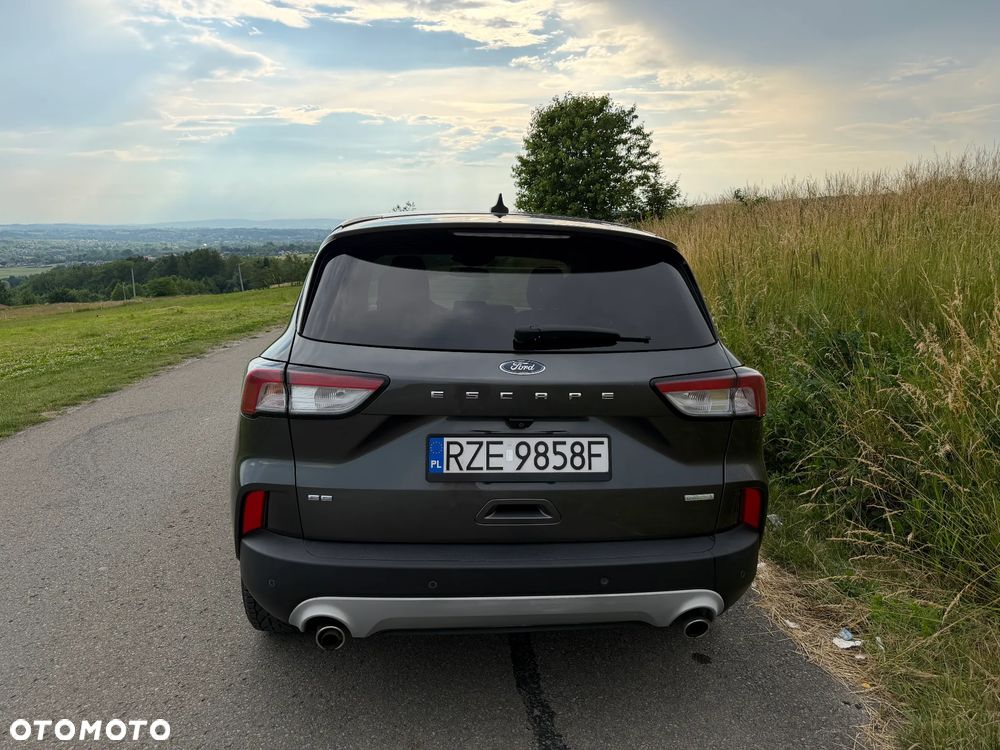 Ford Escape - 10
