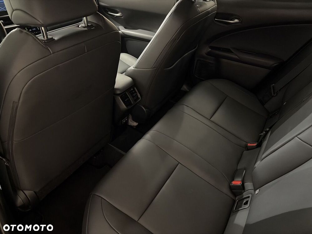 Lexus UX 250h GPF F Sport Design 2WD - 12