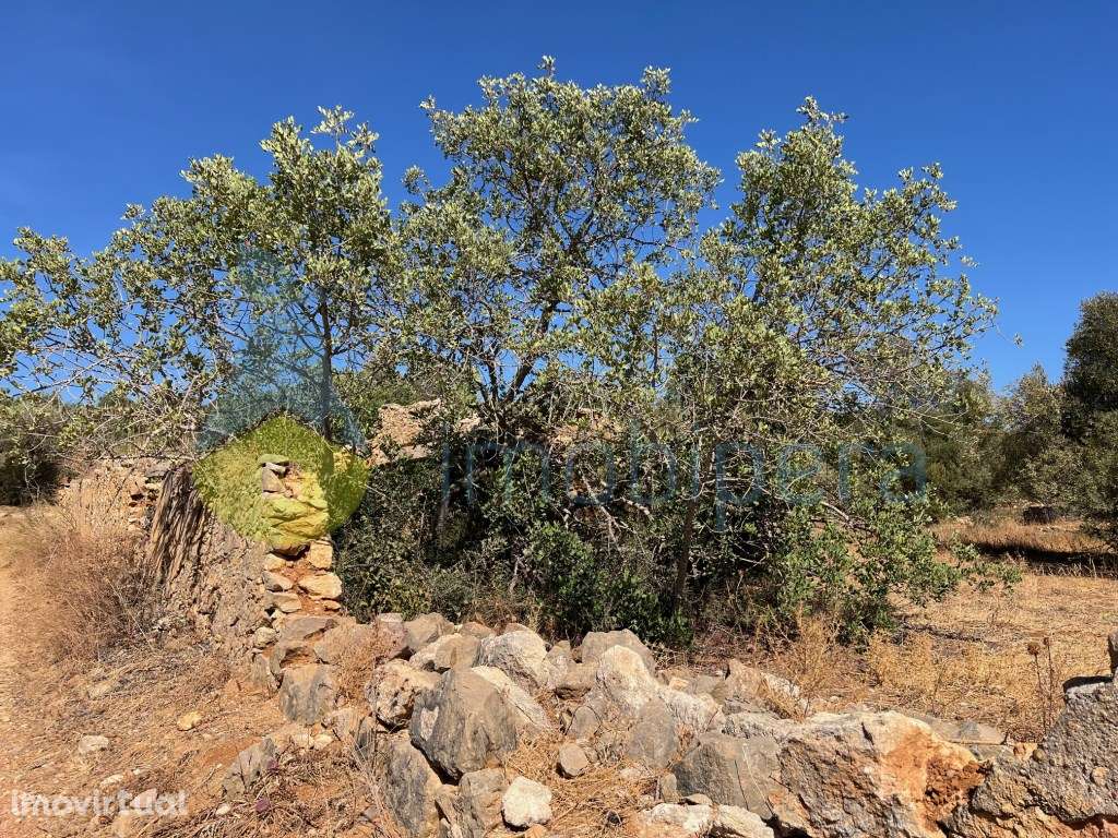 TERRENO MISTO COM RUÍNA E POÇO JUNTO À RIBEIRA DE PADERNE - Grande imagem: 3/26