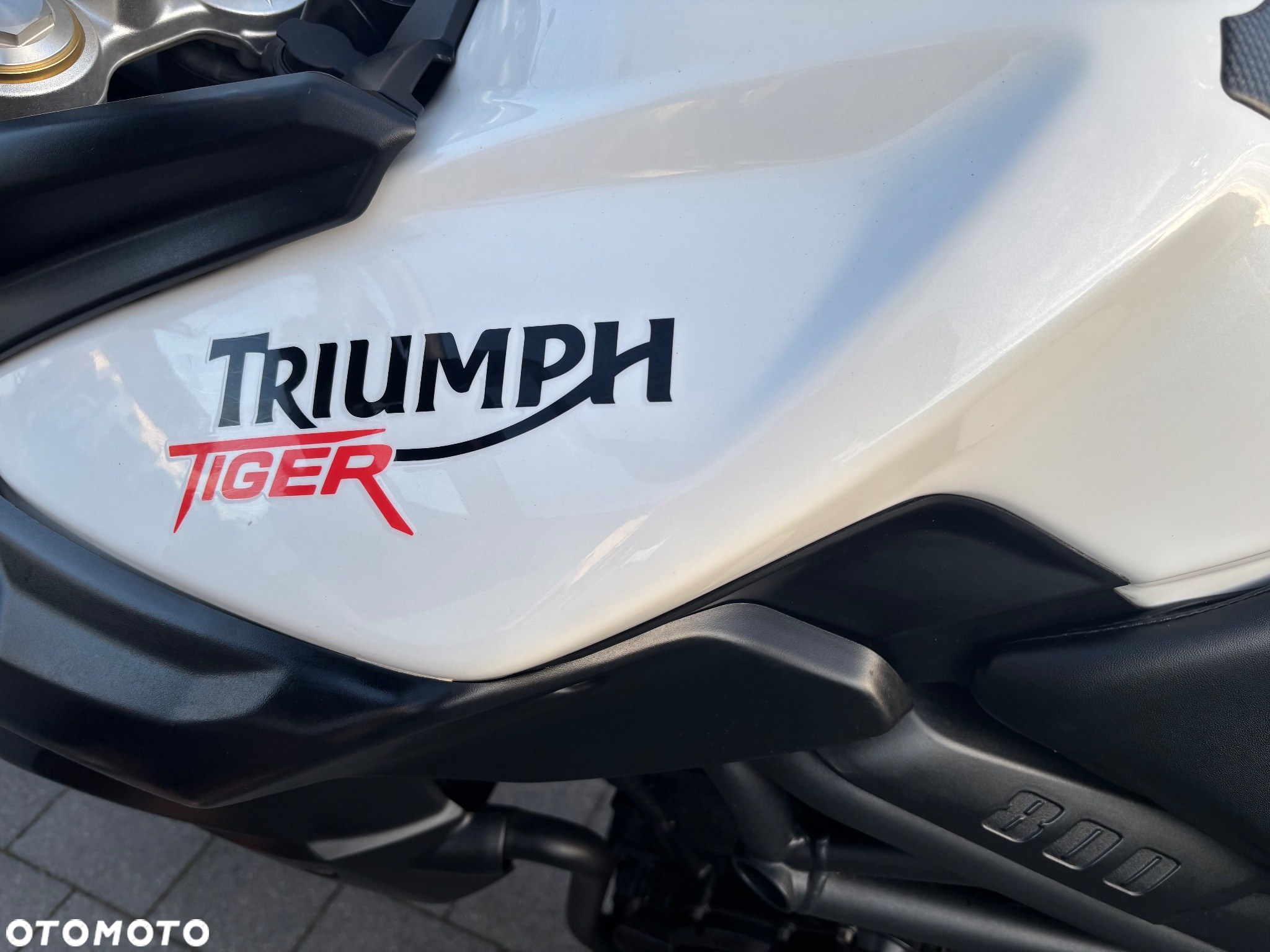 Triumph Tiger - 17