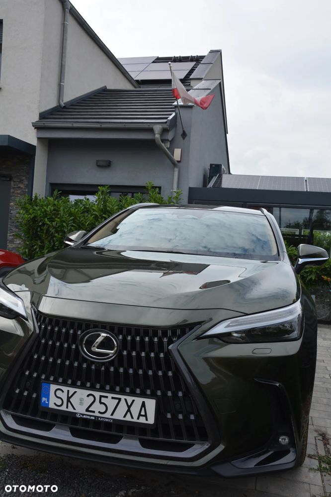 Lexus NX - 27