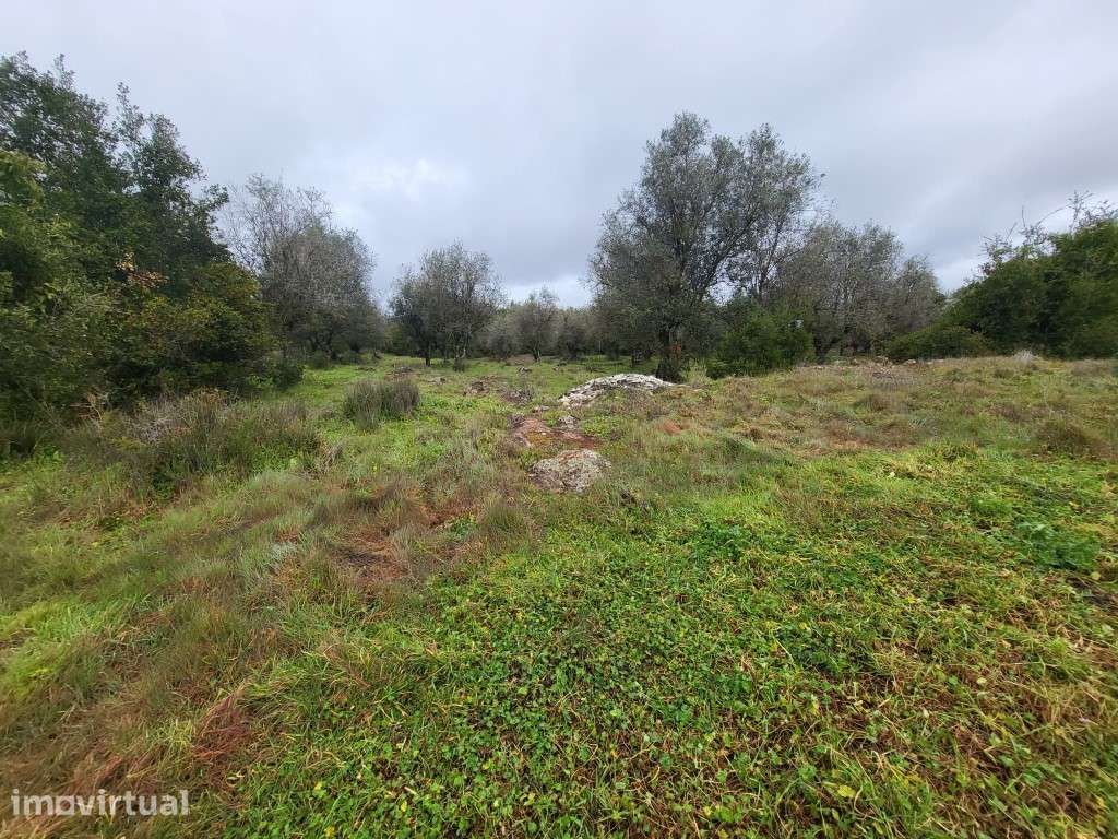 Terreno com 12,5 ha e ruína com 150 m2 perto de Vila Viçosa - Grande imagem: 3/42