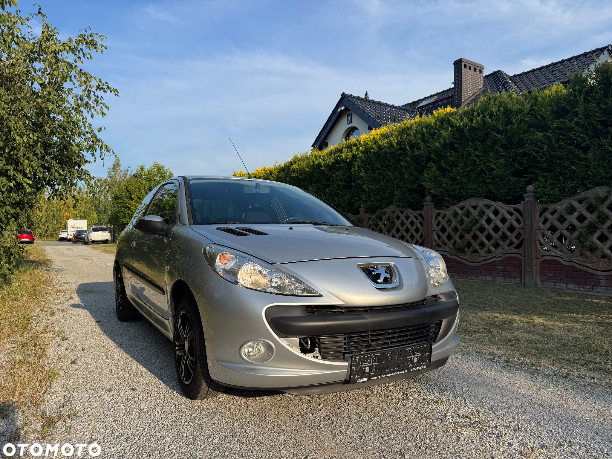 Peugeot 206 plus - 8