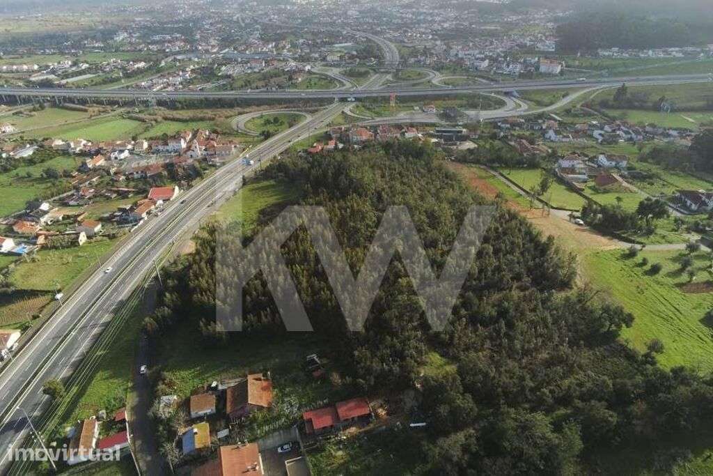 Grande terreno para construção com mais de 18000m2  | Ribeira de Frade - Grande imagem: 2/21