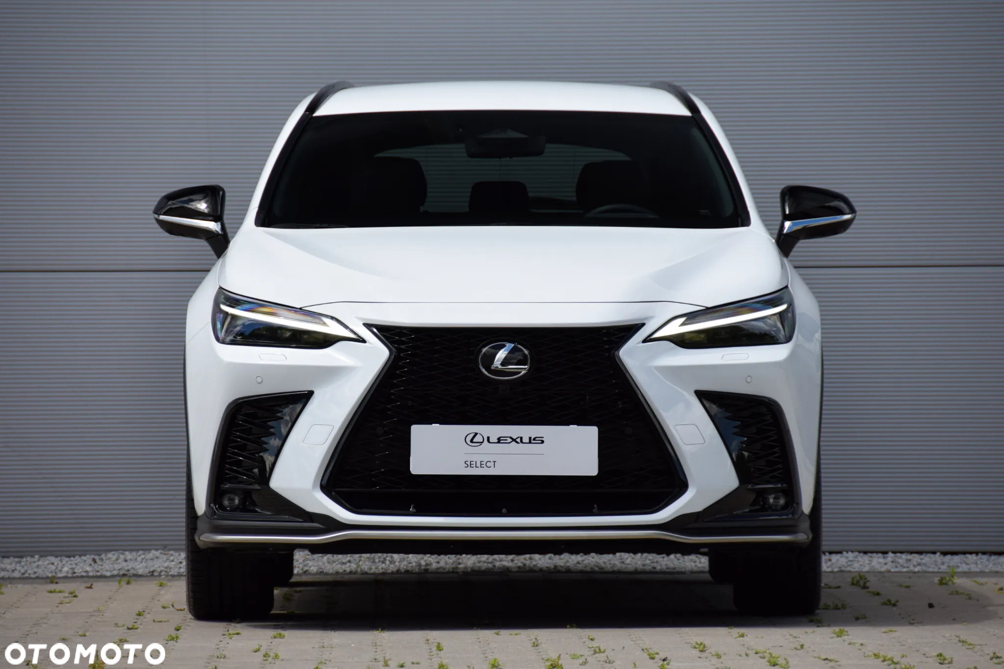 Lexus NX 450h+ F Sport AWD - 8