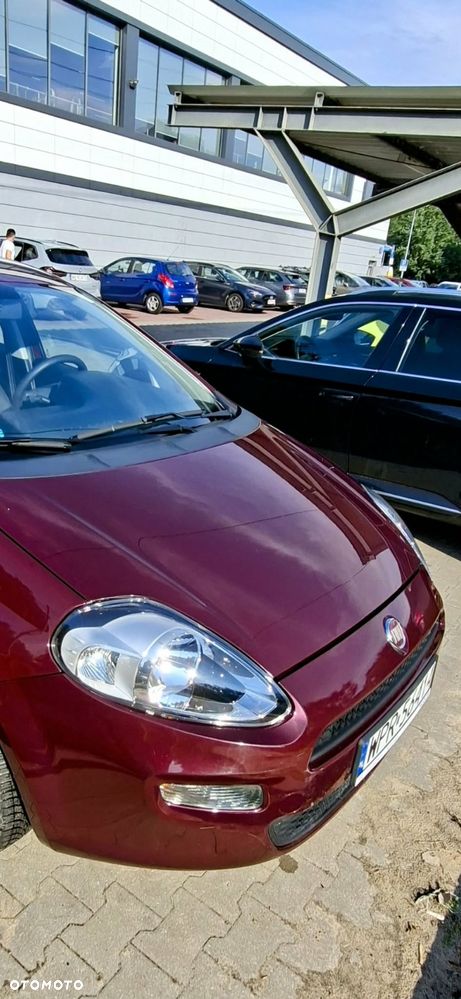 Fiat Punto - 12