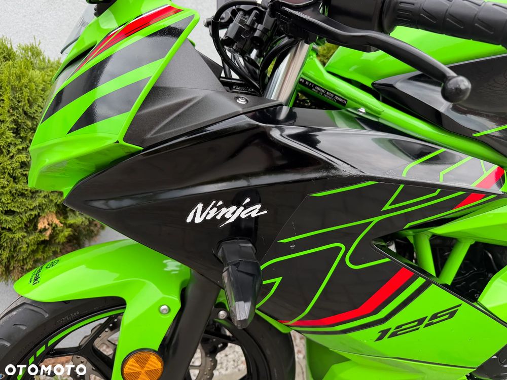Kawasaki Ninja - 38