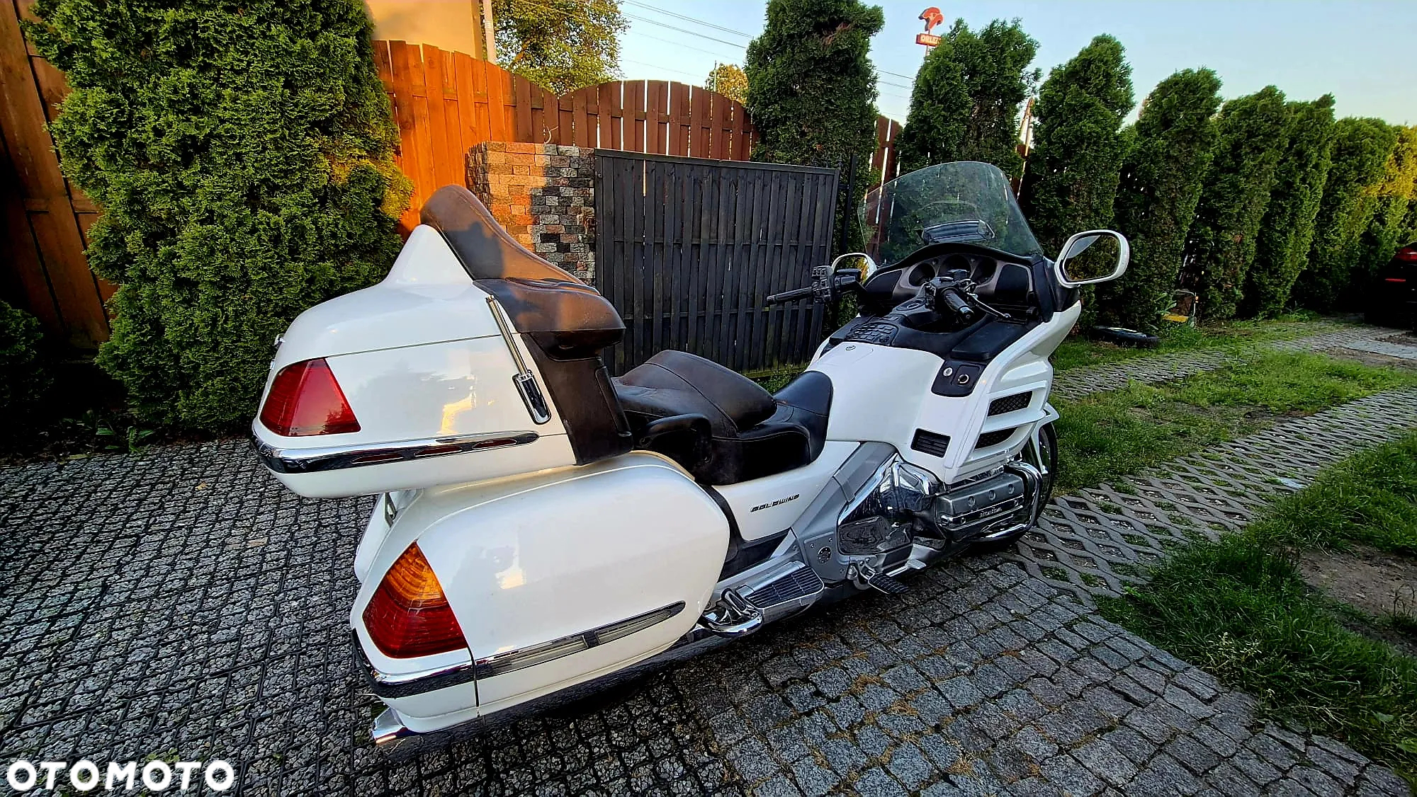 Honda GL - 6