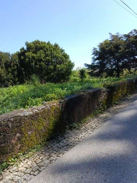 Terreno no centro da vila Sintra. - Grande imagem: 5/11