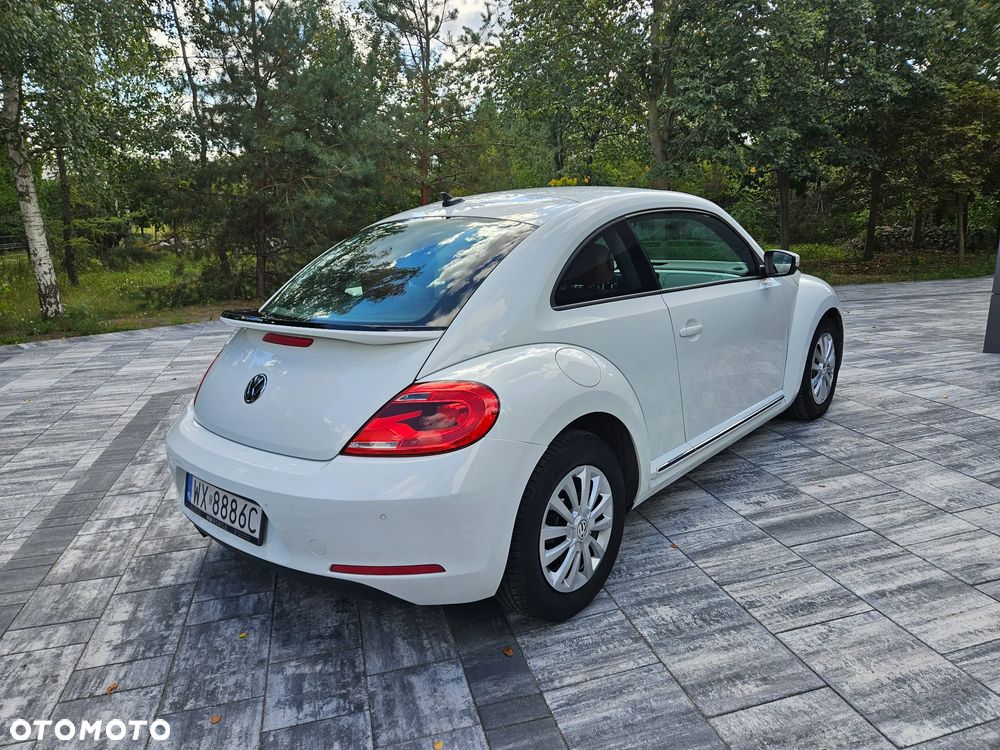 Volkswagen Beetle - 10