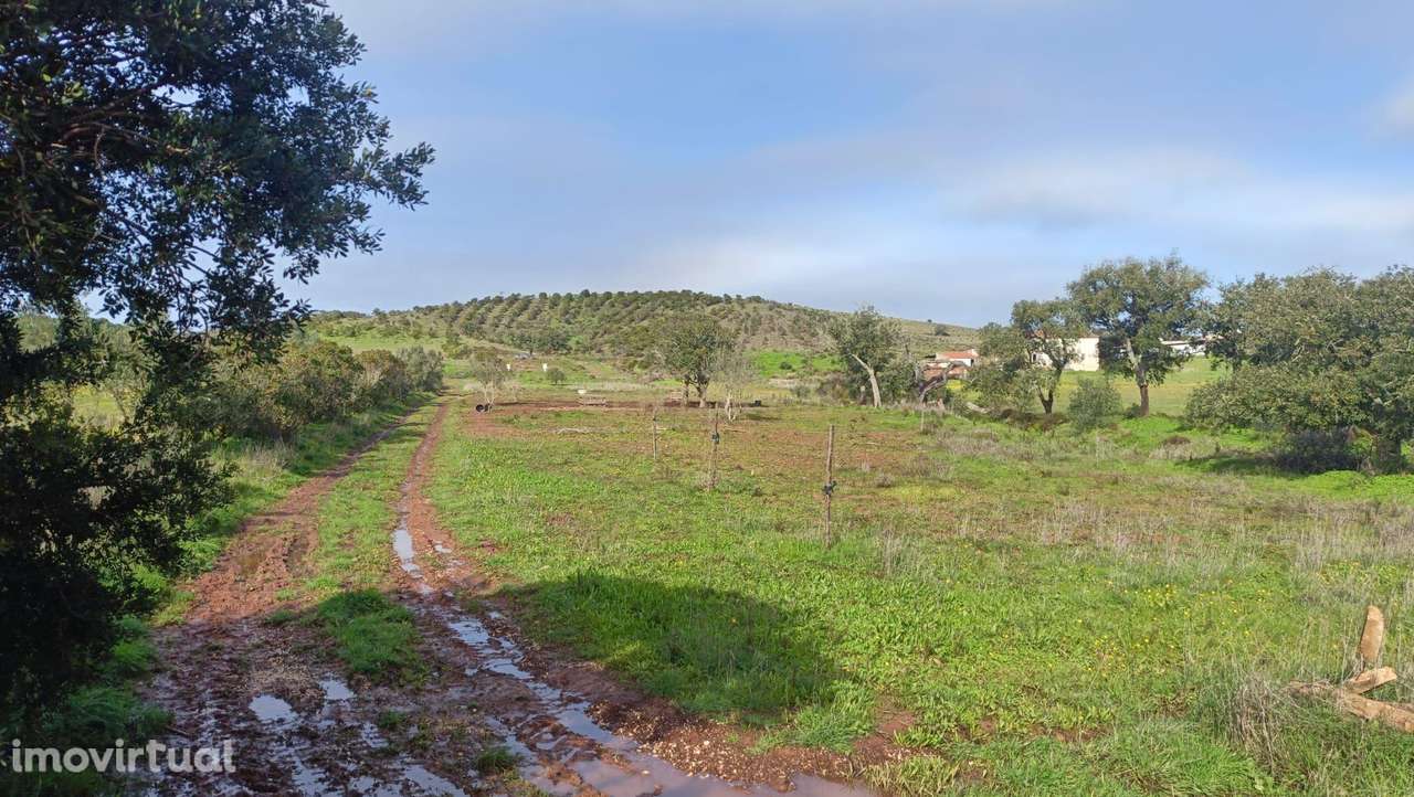 Terreno Rústico em Bensafrim, Lagos - Grande imagem: 5/18