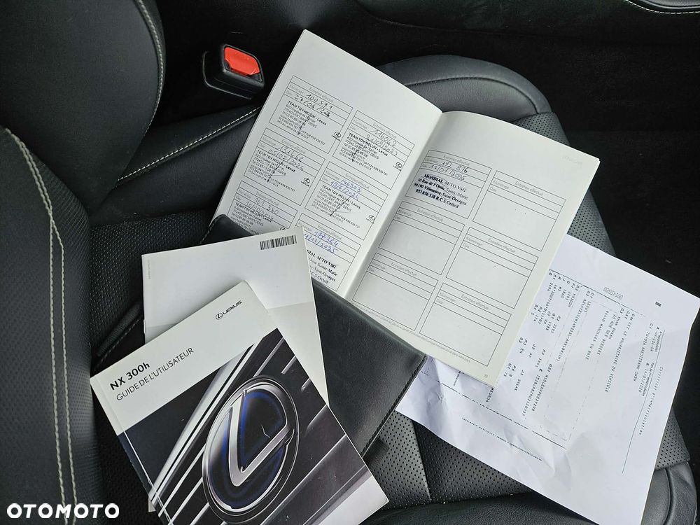 Lexus NX 300h Elite AWD - 17