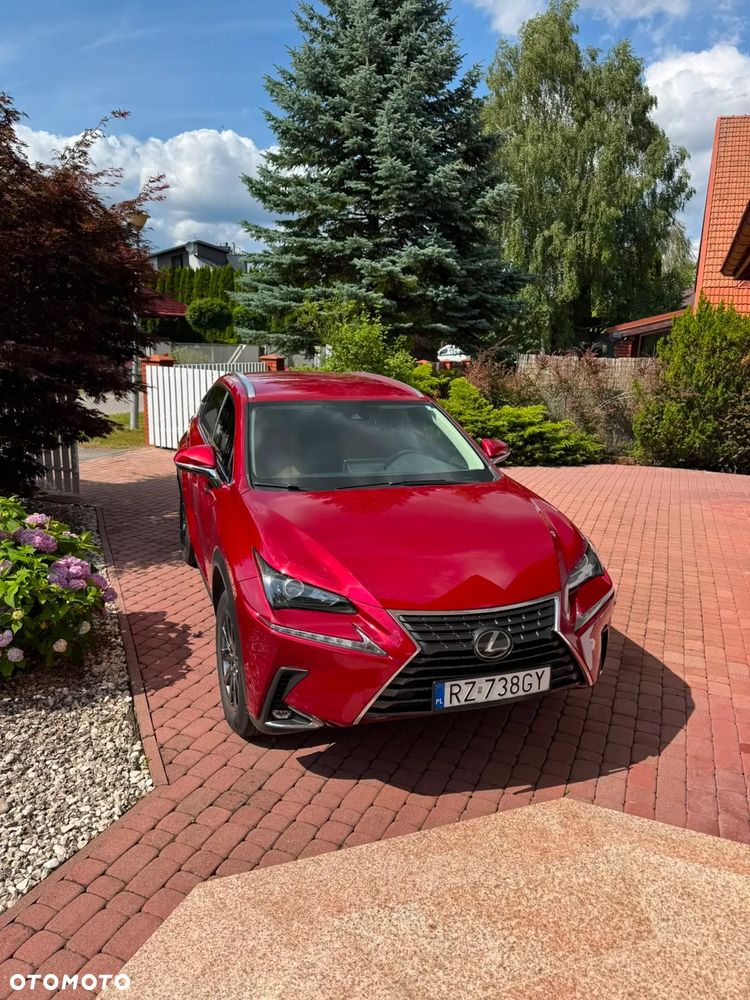 Lexus NX 300 AWD - 13