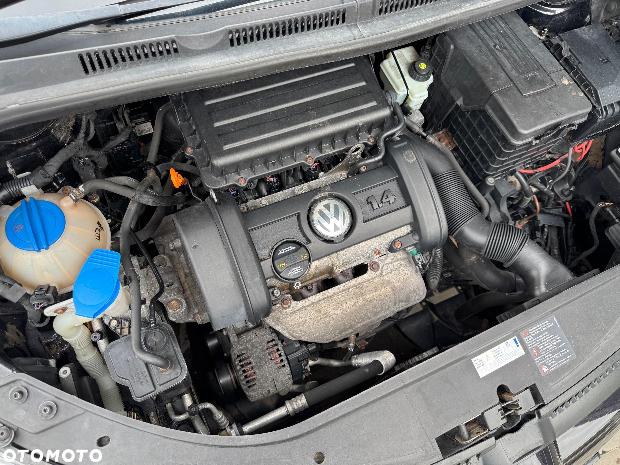 Volkswagen Golf Plus - 8