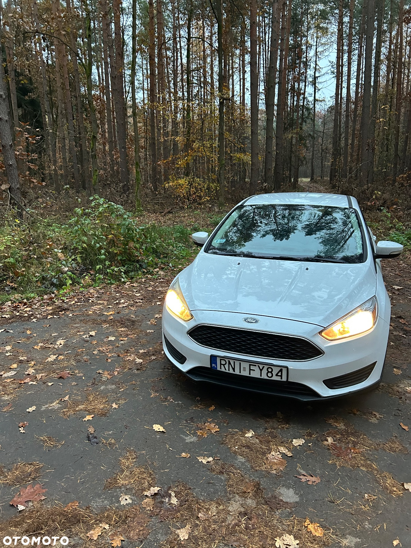 Ford Focus - 2