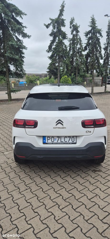 Citroën C4 Cactus 1.2 PureTech Shine S&S EAT6 - 7