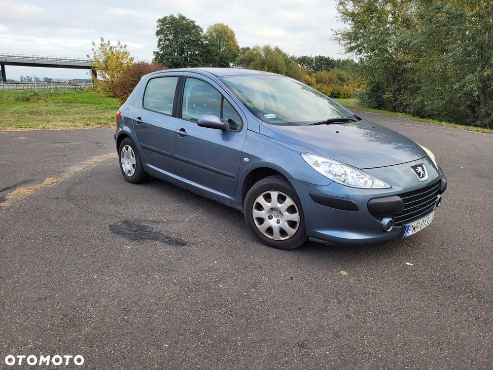 Peugeot 307 2005 photo 2