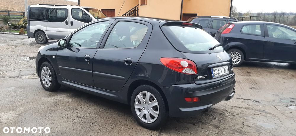 Peugeot 206 plus - 11