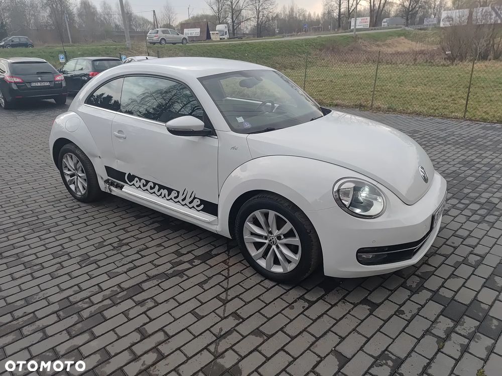 Volkswagen Beetle - 25