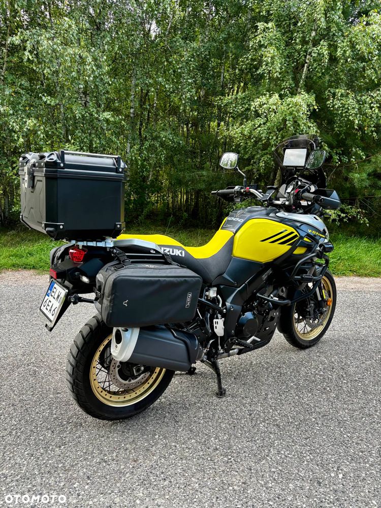 Suzuki DL - 6