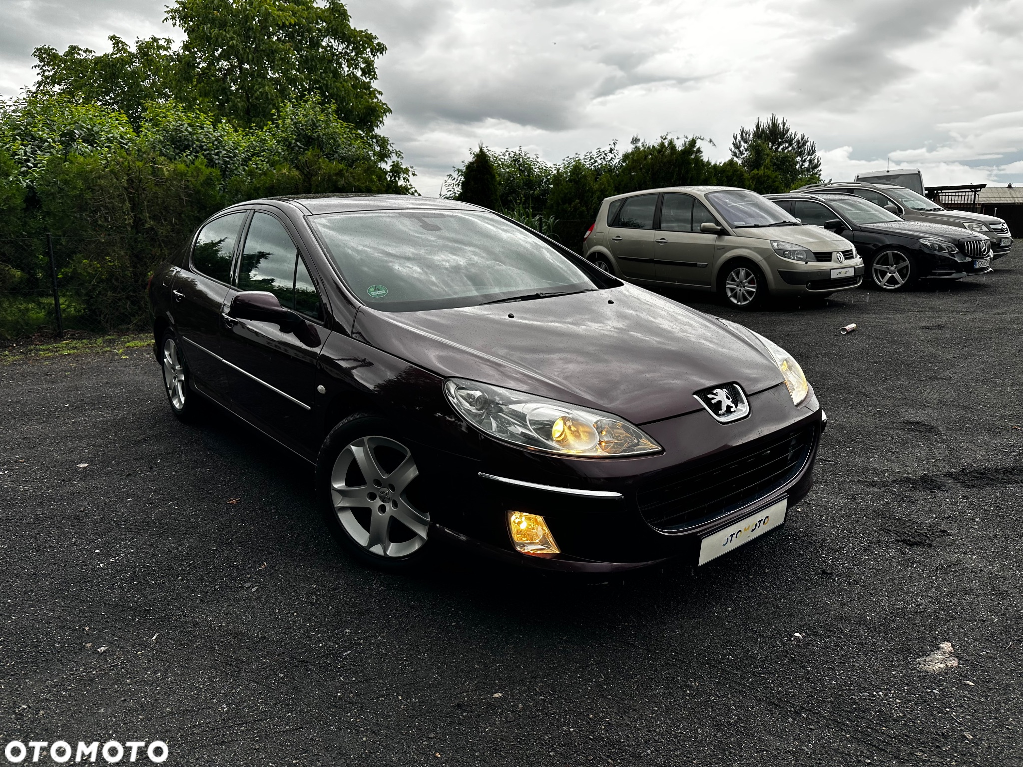 Peugeot 407 - 5