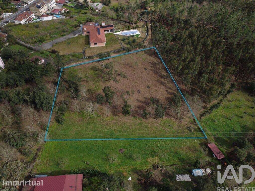 Terreno para construção em Poiares - Grande imagem: 3/40