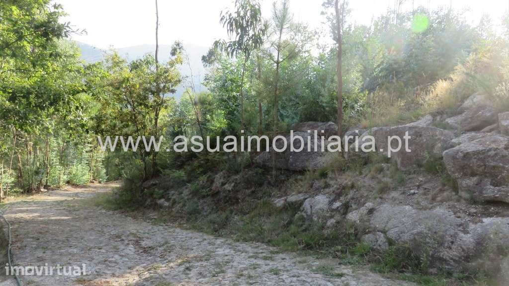 Terreno p/ Construção - Valdosende - Grande imagem: 4/7