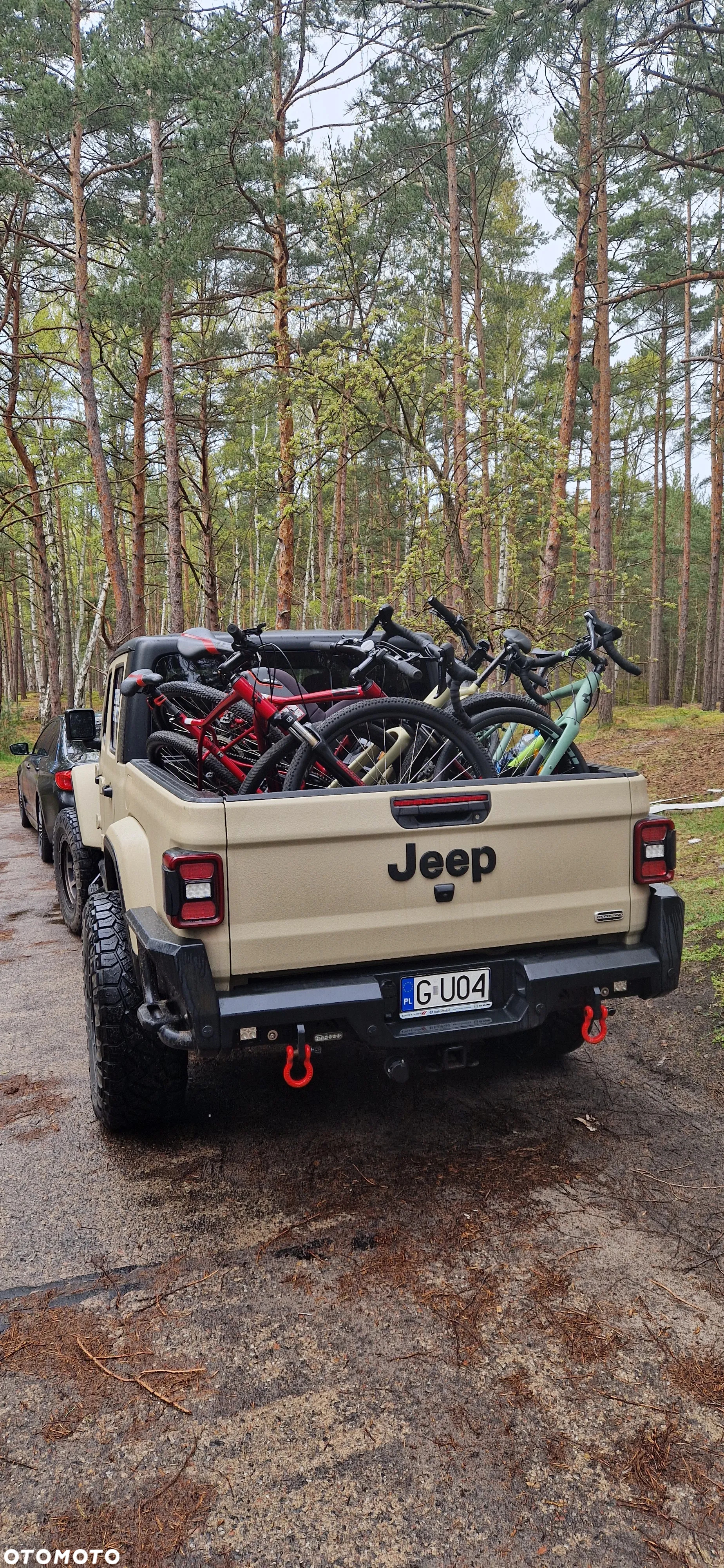 Jeep Inny - 10
