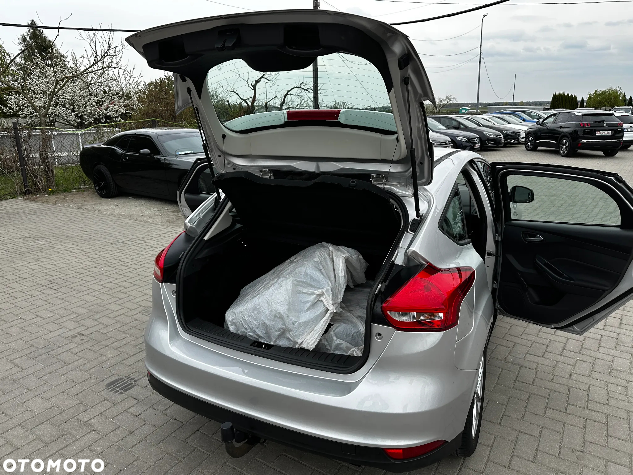 Ford Focus - 26