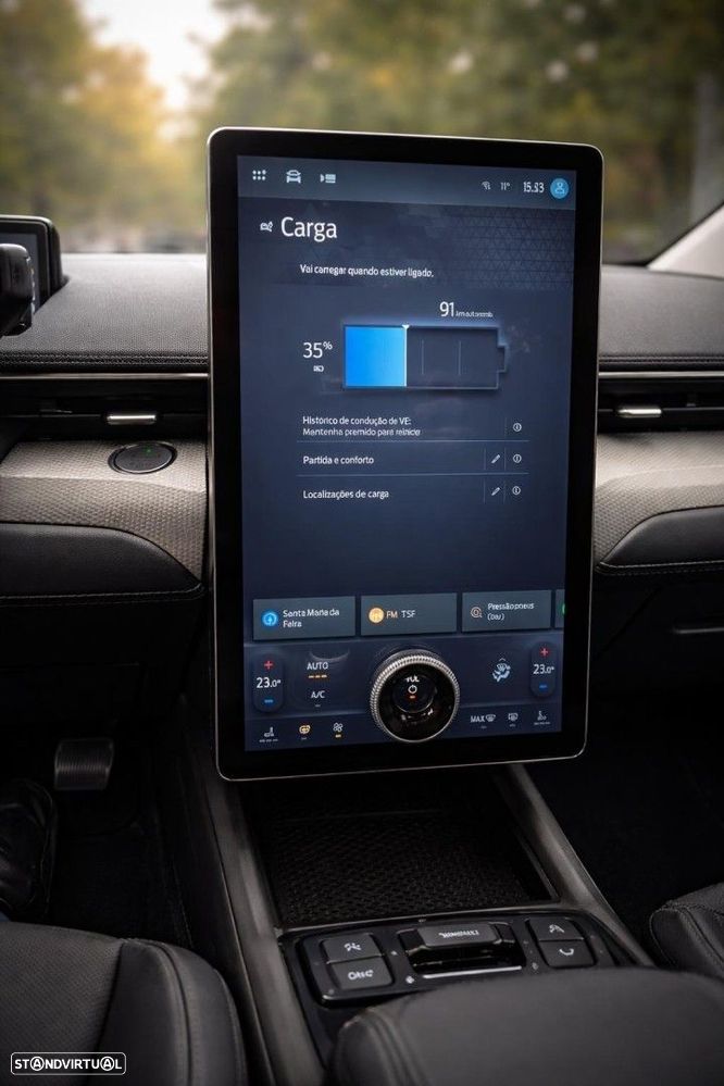 Ford Mustang Mach-E Standard - 19