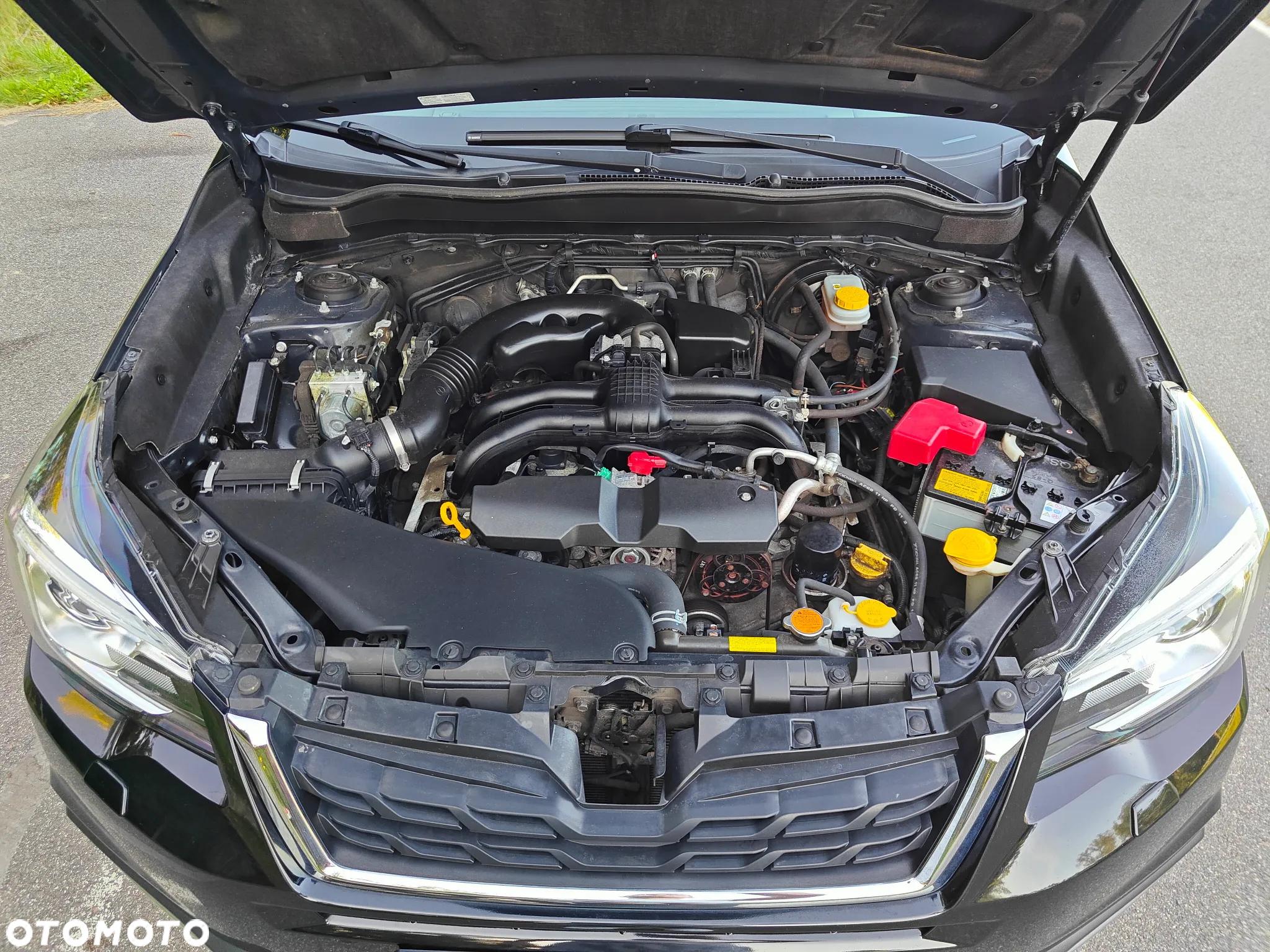 Subaru Forester - 36