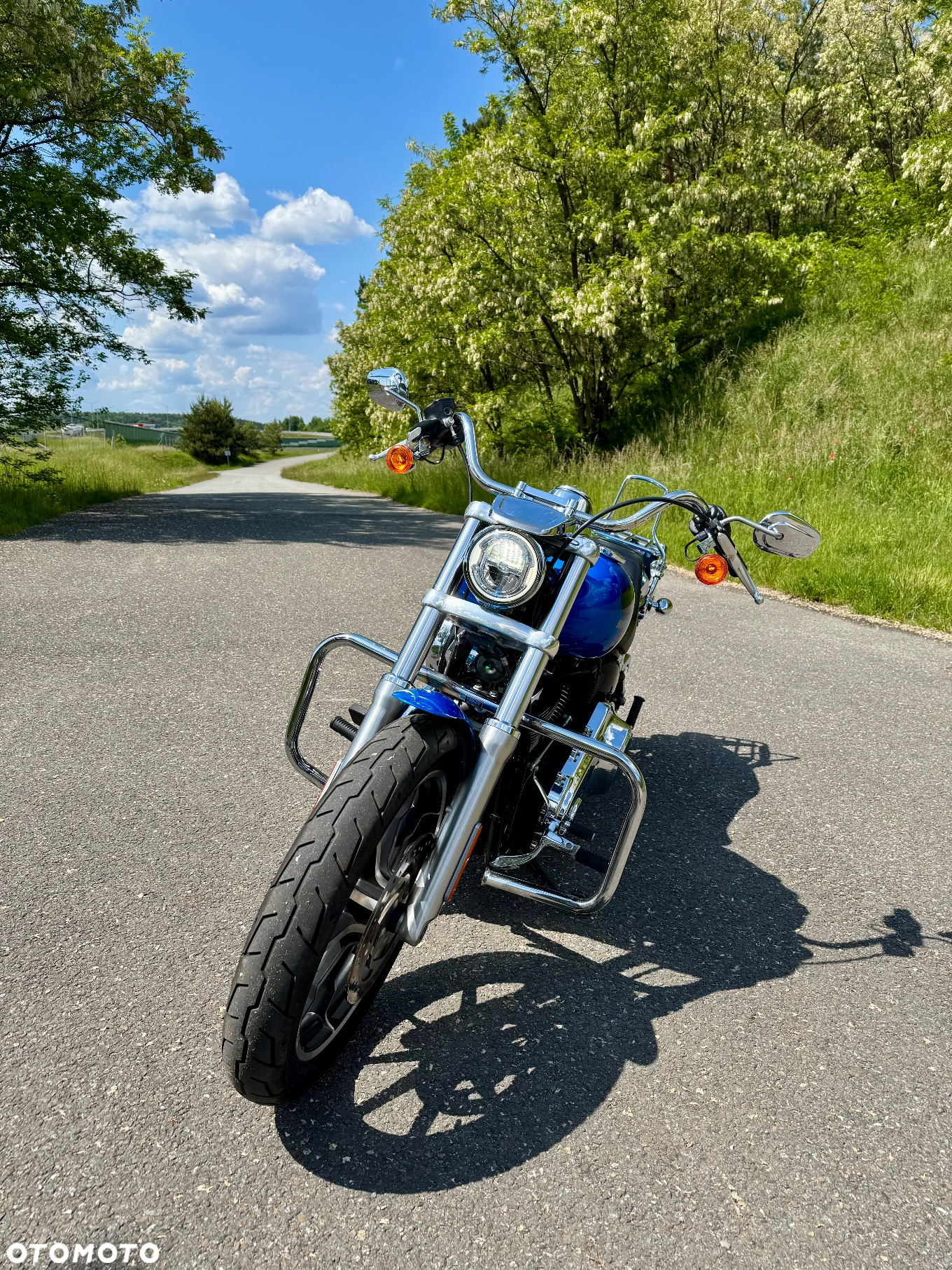 Harley-Davidson Softail Low Rider - 11