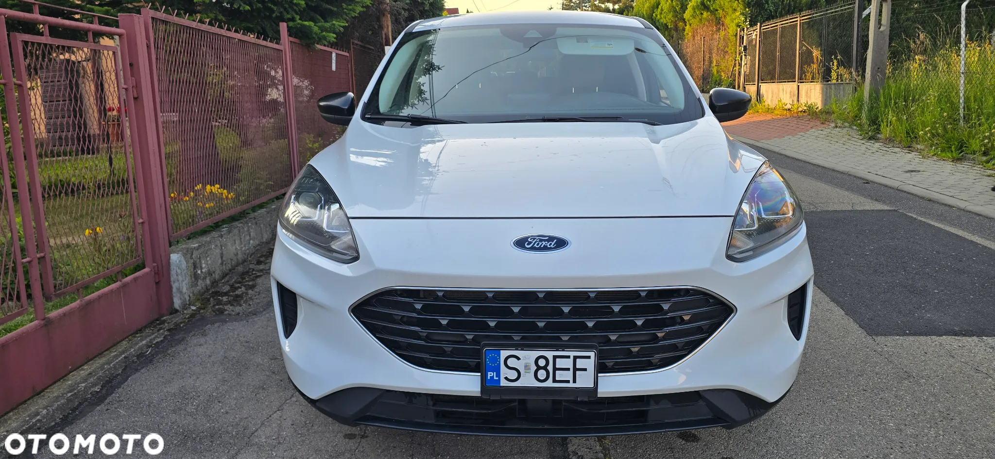 Ford Kuga 2.5 FHEV AWD Titanium - 13
