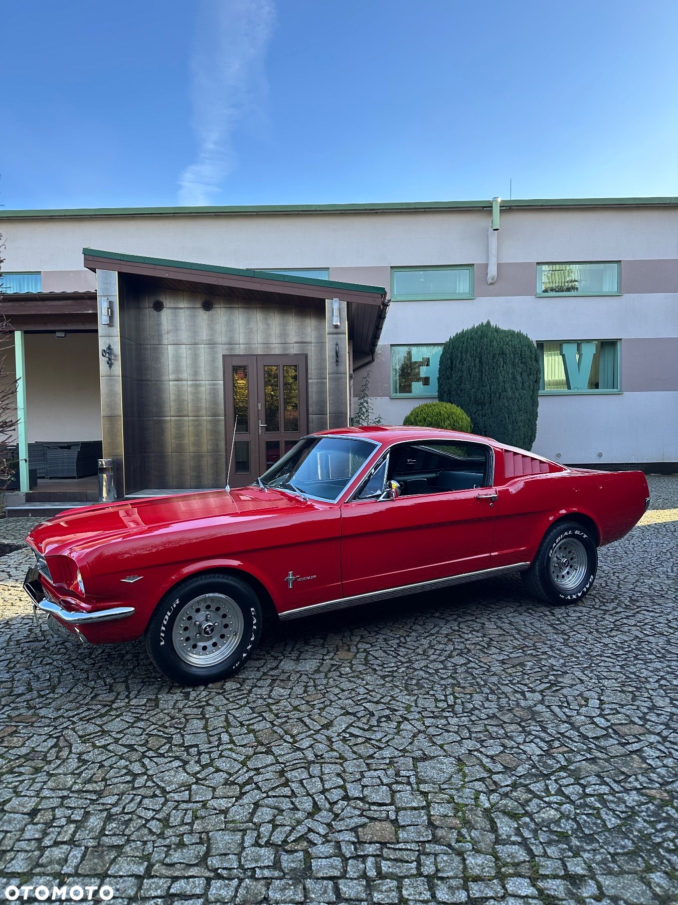 Ford Mustang - 1