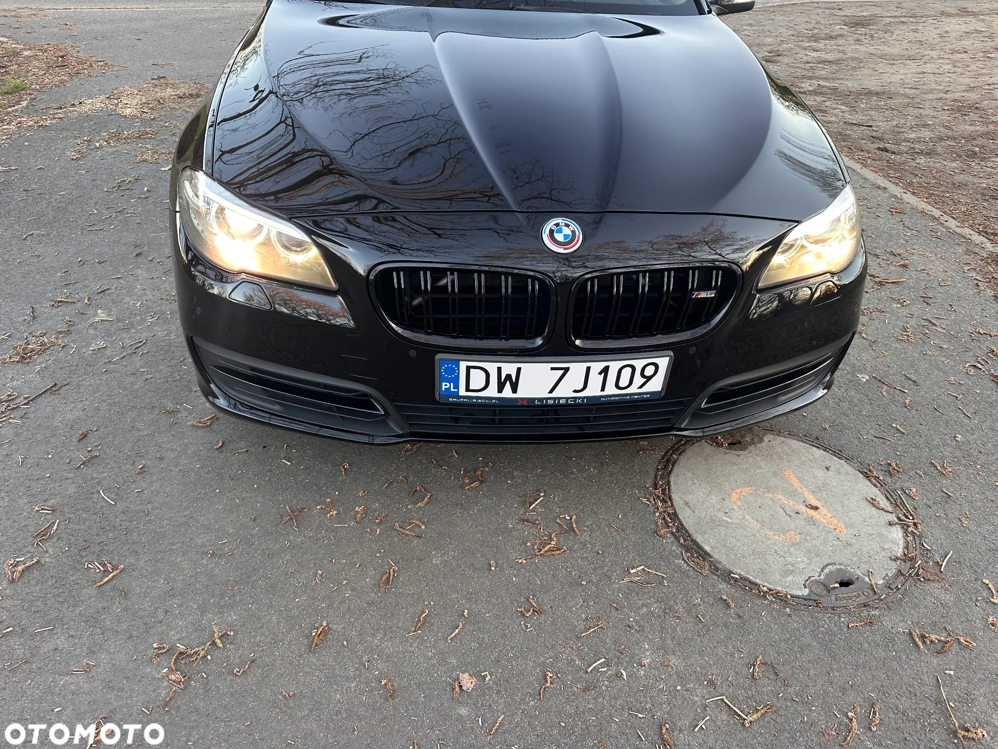BMW Seria 5 518d Luxury Line - 11