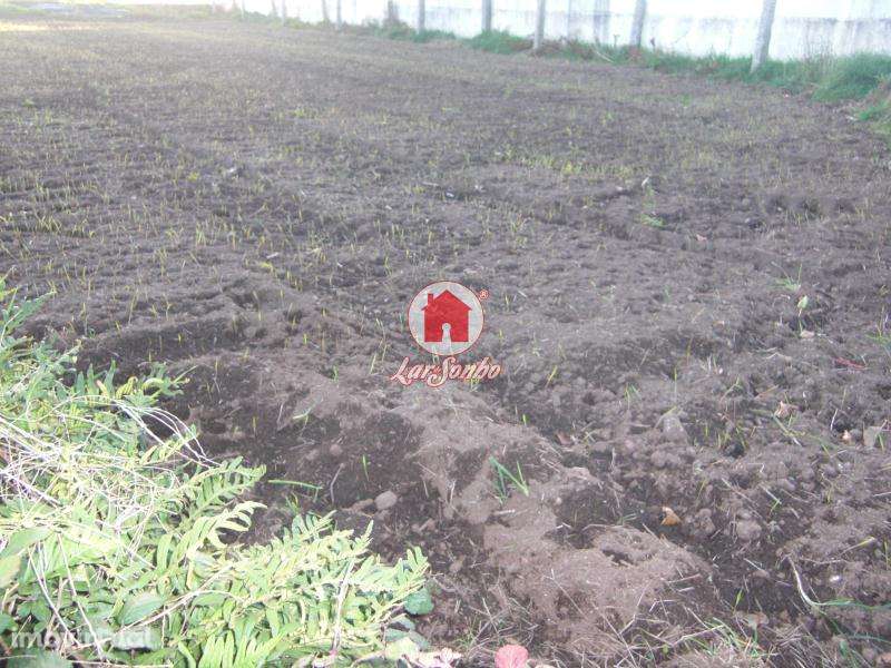 Terreno para construção de moradias com 1.000 m2 em Ferreiró, Vila ... - Grande imagem: 2/4