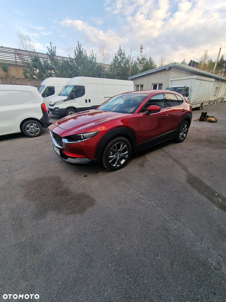 Mazda CX-30 2.0 mHEV Homura Plus AWD - 8