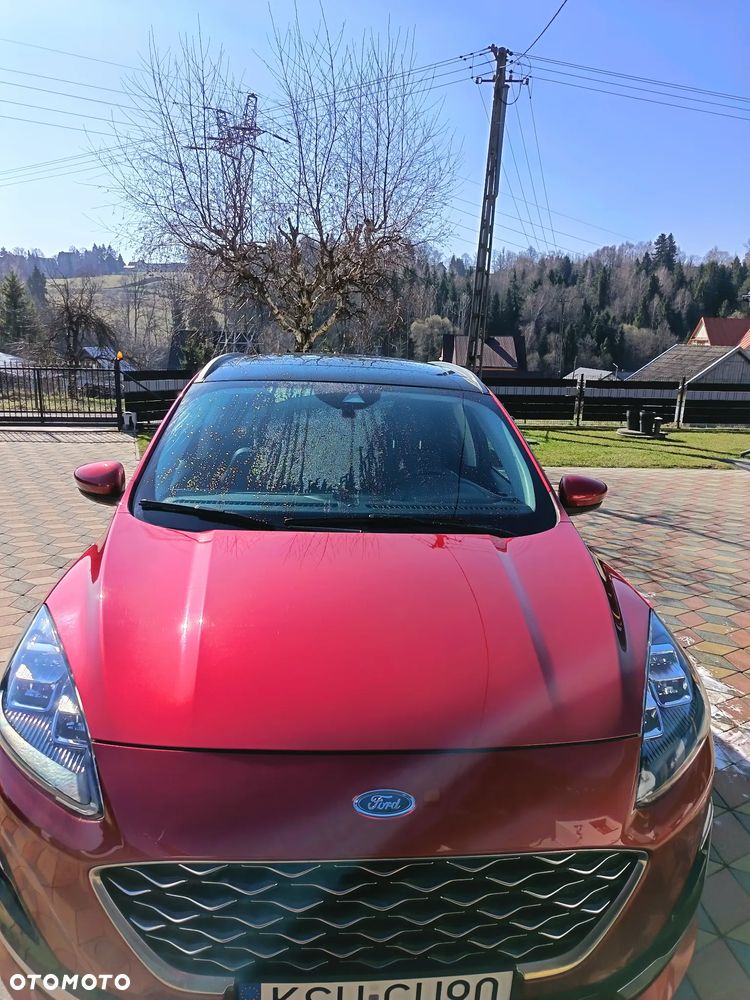 Ford Kuga Vignale 2.0 EcoBlue AWD - 2