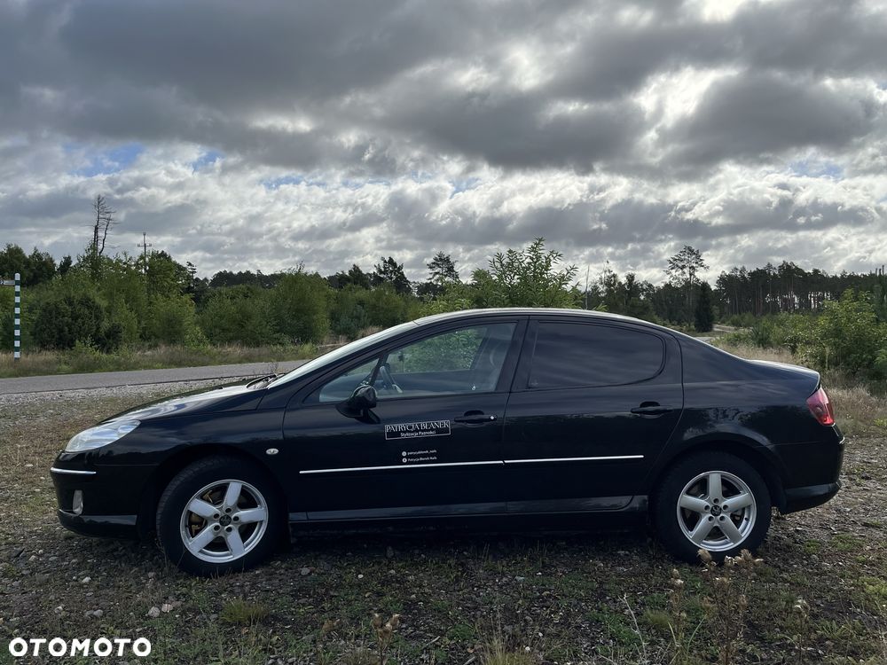 Peugeot 407 - 6