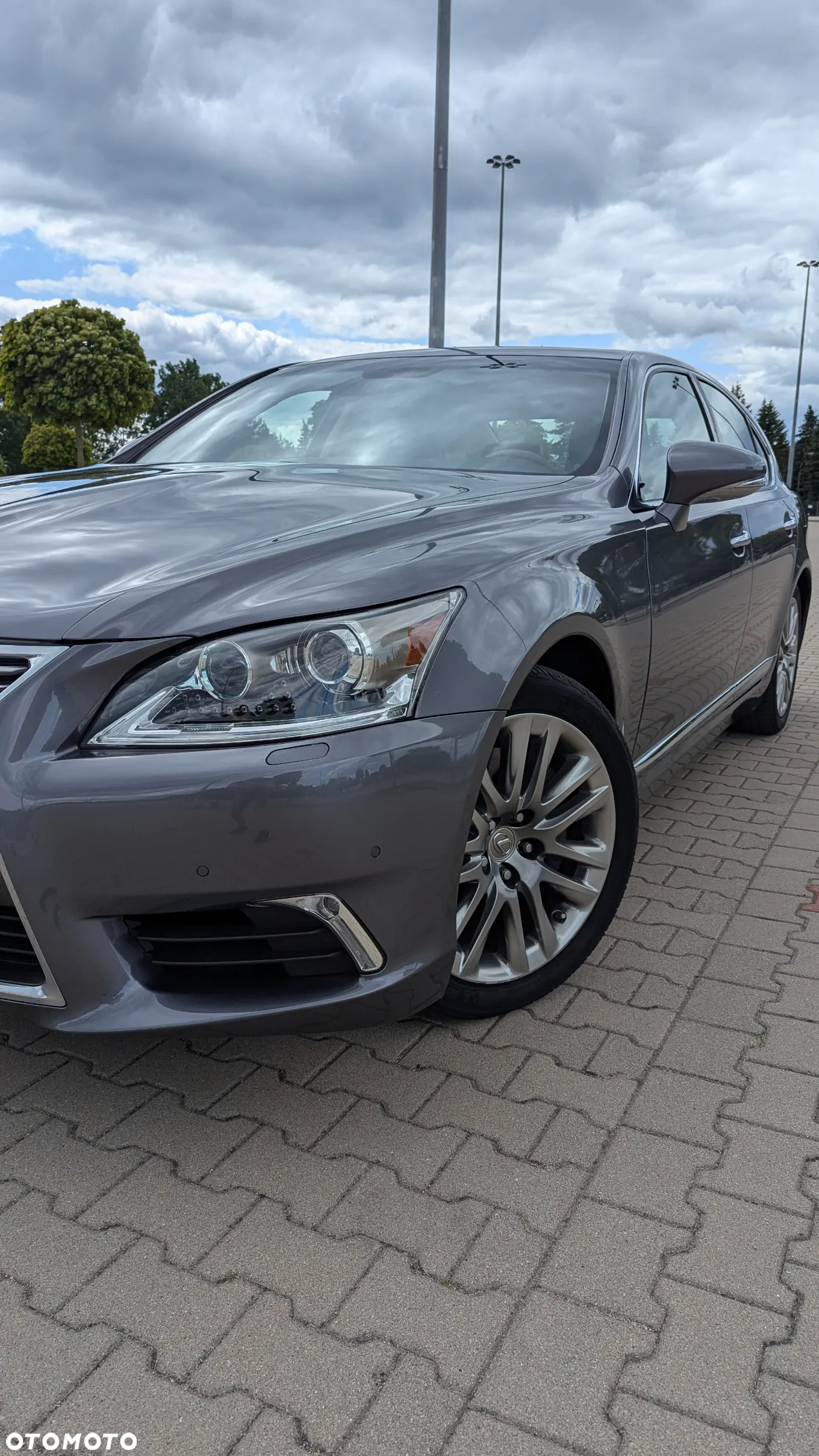 Lexus LS 460 Elite AWD - 6